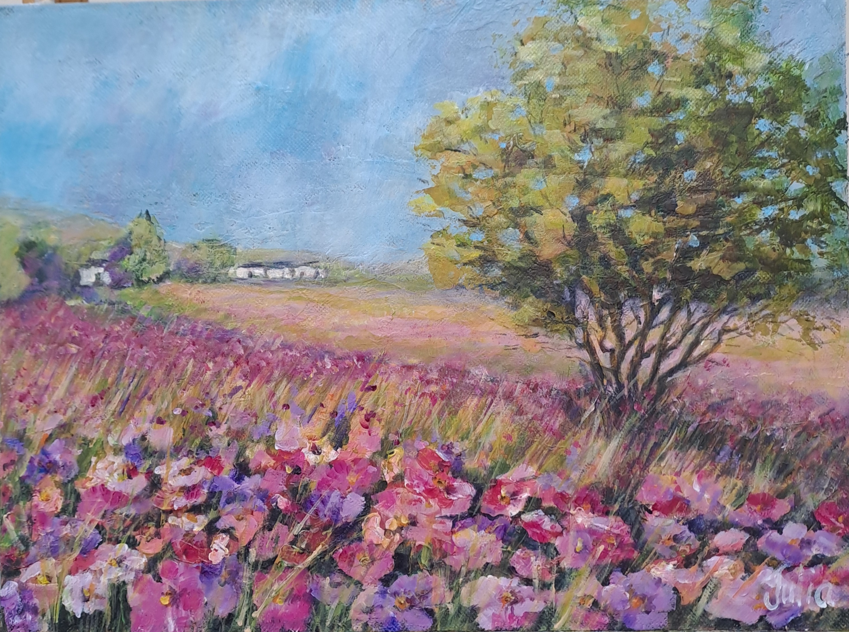Cosmos Fields