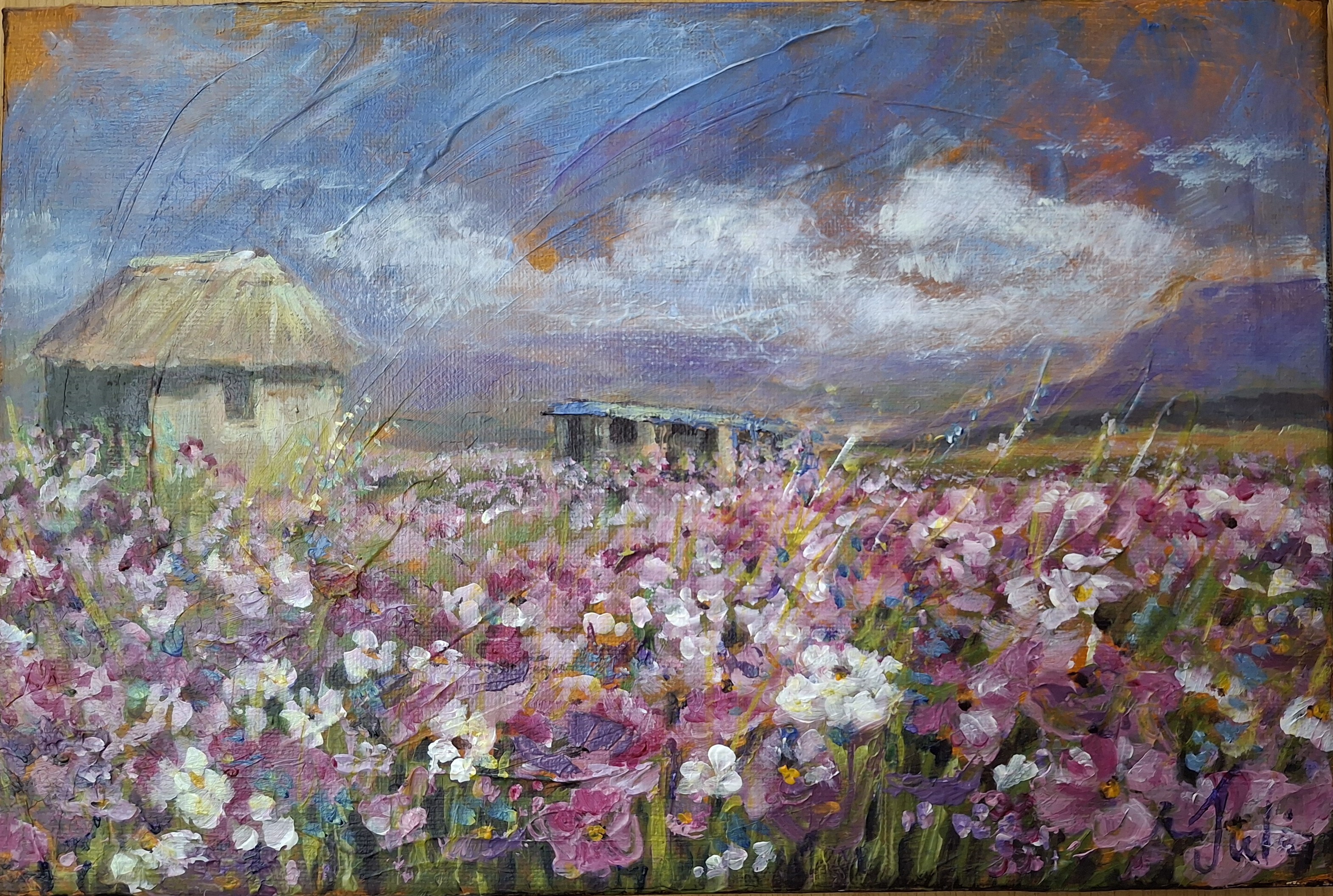 Cosmos Fields